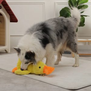 Duck Chew Toy | Sounding Dog Toy