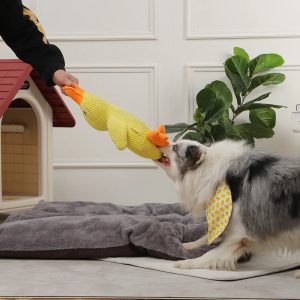 Duck Chew Toy | Sounding Dog Toy