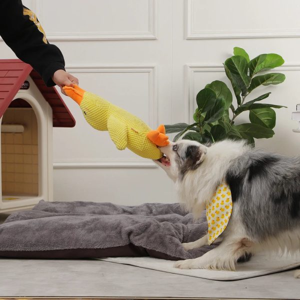 Duck Chew Toy | Sounding Dog Toy - Image 4
