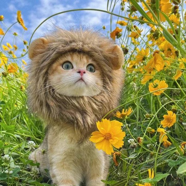 Pet Cosplay Hat | Lion Mane Wig