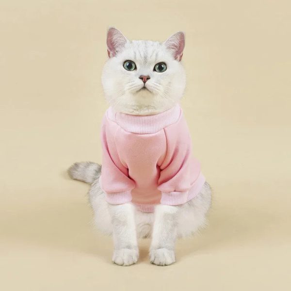 Breathable Pet Hoodie | Cozy Winter Clothes - Image 7