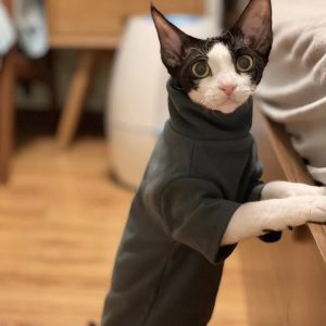 Soft Cotton Clothes for Sphynx Cats | Fall & Winter Outfits