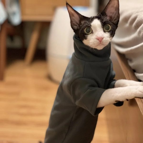 Soft Cotton Clothes for Sphynx Cats | Fall & Winter Outfits - Image 6