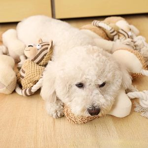 Dog Rope Toy | Pet Cotton Rope Toy with Sound