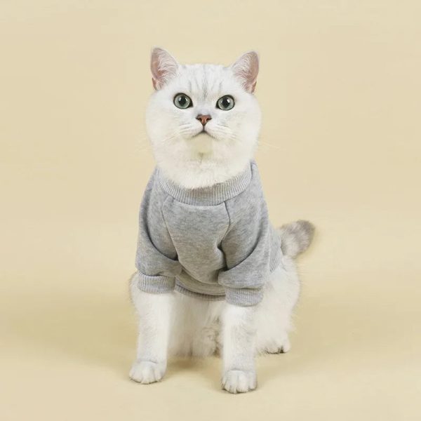 Breathable Pet Hoodie | Cozy Winter Clothes - Image 6