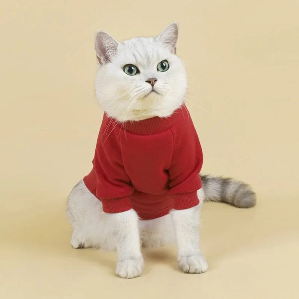 Breathable Pet Hoodie | Cozy Winter Clothes - Image 5