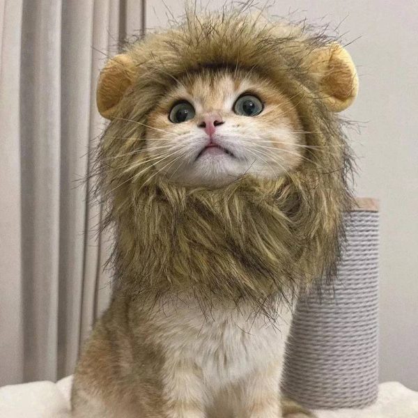 Pet Cosplay Hat | Lion Mane Wig - Image 2