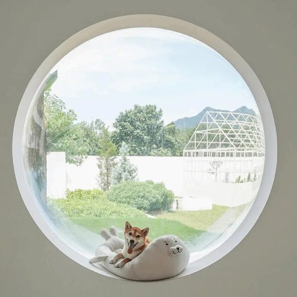 Comfortable Seal Pet Bed – A Must-Have for Pet Lovers - Image 3