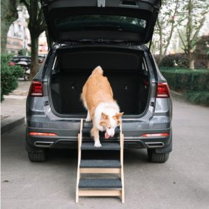 Foldable Wooden Pet Steps for Bed | 4-Storey Stairs & Ramp