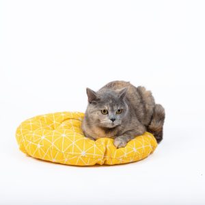 Hanging Cat Bed | Woven Round Pet Basket