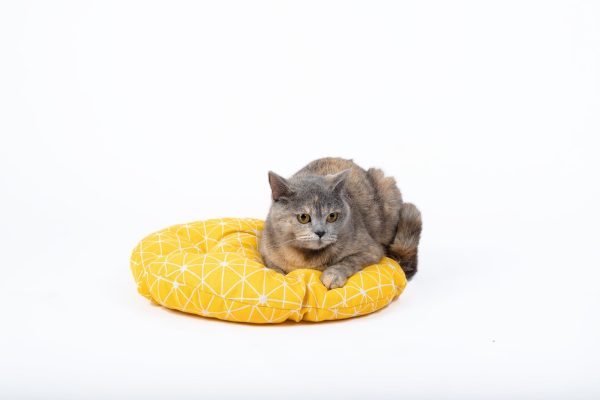 Hanging Cat Bed | Woven Round Pet Basket - Image 2