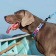 Reflective Dog Collar | Adjustable 3M Reflective Training Collar for Large Dogs, High-Visibility & Heavy-Duty Design