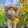 Pet Cosplay Hat | Lion Mane Wig